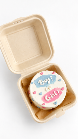 Pastel Boy or Girl Bento Cake