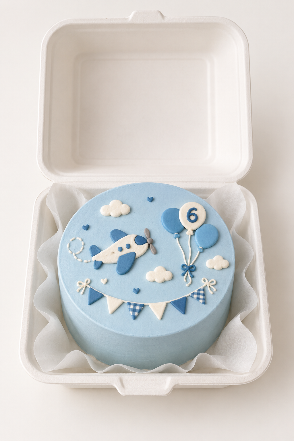 Sky High Aeroplane Bunting Bento Cake